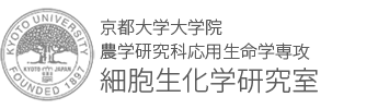 細胞生化学研究室｜京都大学大学院　農学研究科　応用生命学専攻