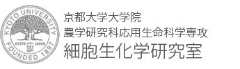 細胞生化学研究室｜京都大学大学院　農学研究科　応用生命科学専攻